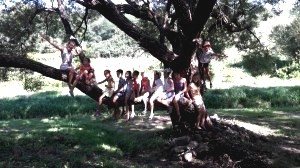 muveszeti tabor kapolcs_123