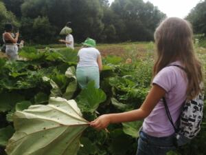 Művészeti Élménytábor alkotótábor,gyerektábor Kapolcs