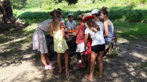 muveszeti tabor kapolcs 466